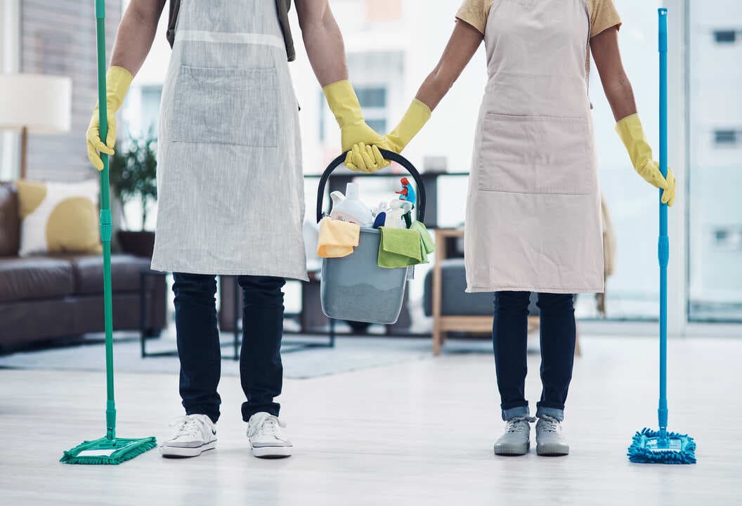 Professional cleaning team
